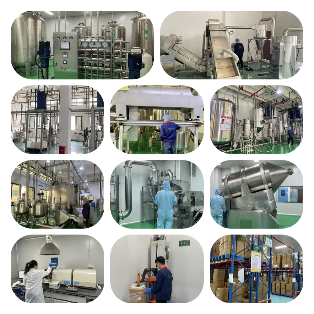 Natural Fruit Extract Powder 10:1 Bulk Dried Onion Extract for Healthcare Supplement