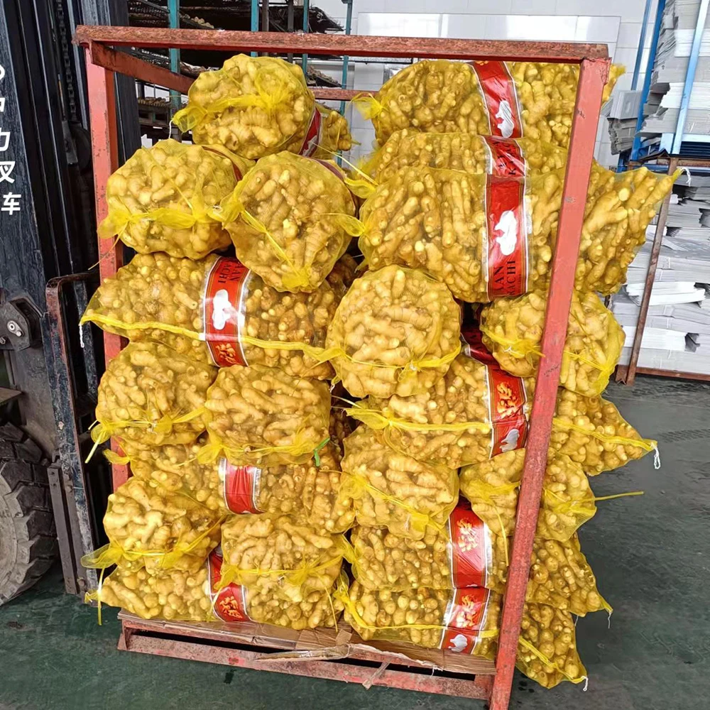 High quality of new crop Fresh ginger air dry or dried ginger root market price