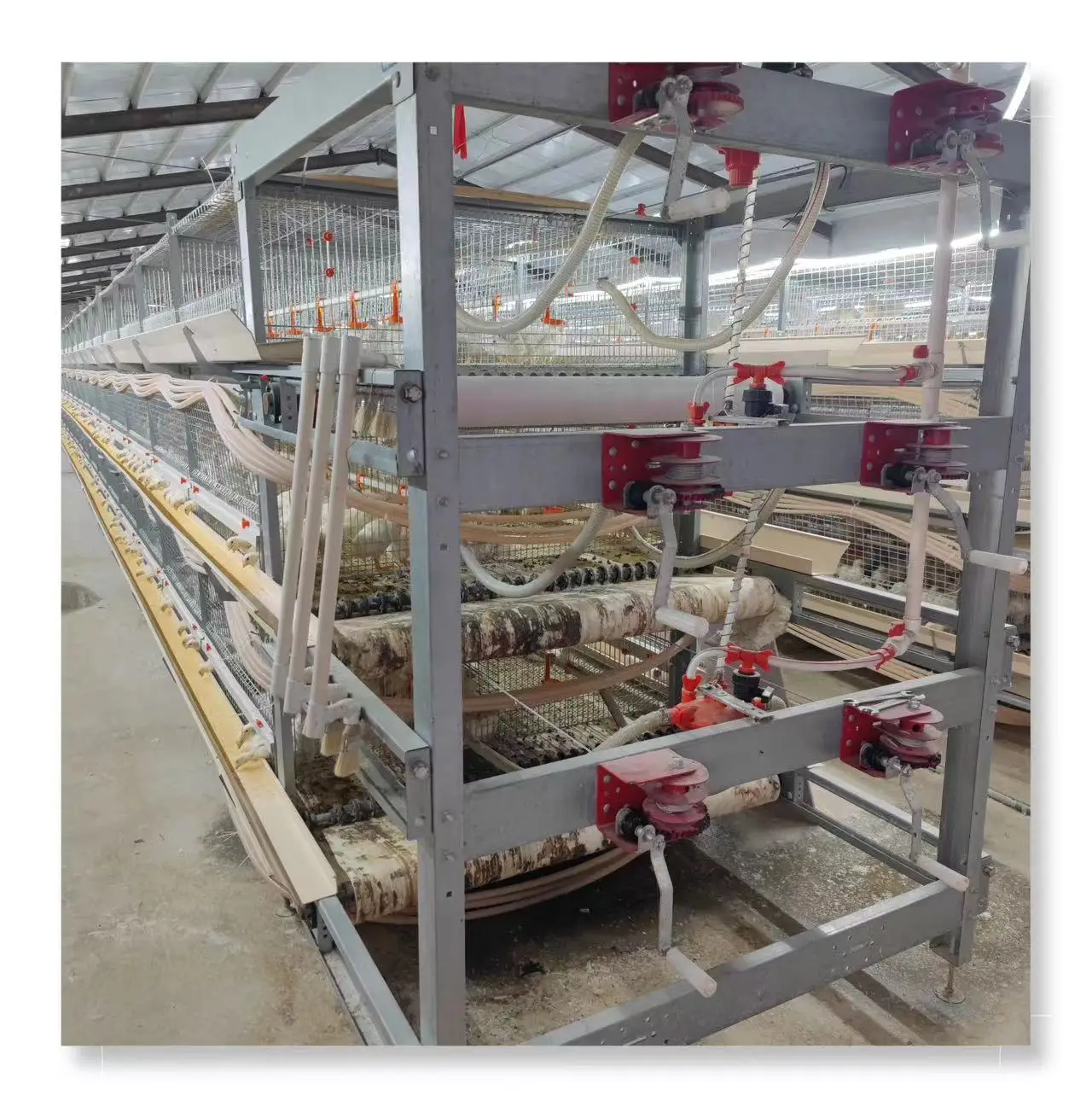 Commercial Farming Poultry Equipment Chicken Farm Broiler Cage H Type Broiler Chicken Cage with Automatic Manure Cleaning