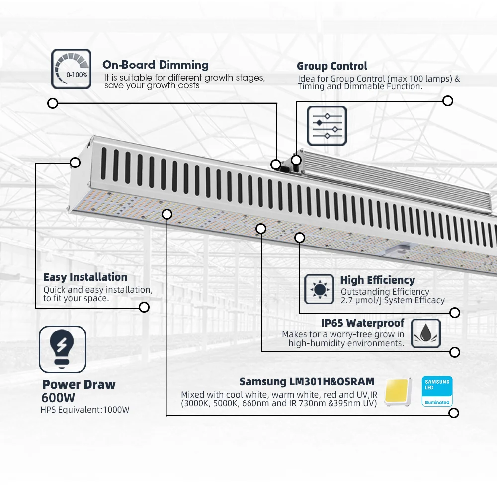 Greenhouse Top Light High Powerful Efficient Shadow Free New Full Spectra LM301H 600w Led Horticulture Linear Grow Light