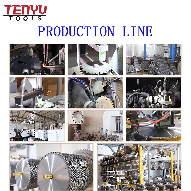 10 inch 255mm 40T 80T 2 teeth 4t 36 Teeth 3Teeth brush grass round alloy cutting machine with circular blade