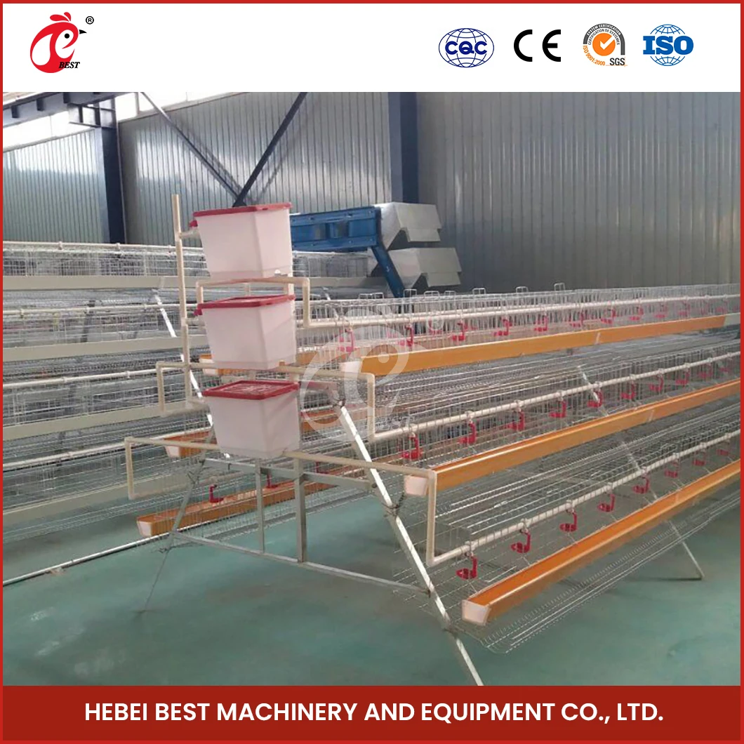 A Type Battery Layer Chicken Cages Automatic Egg Collector Chicken Cage Plans For Poultry Farm
