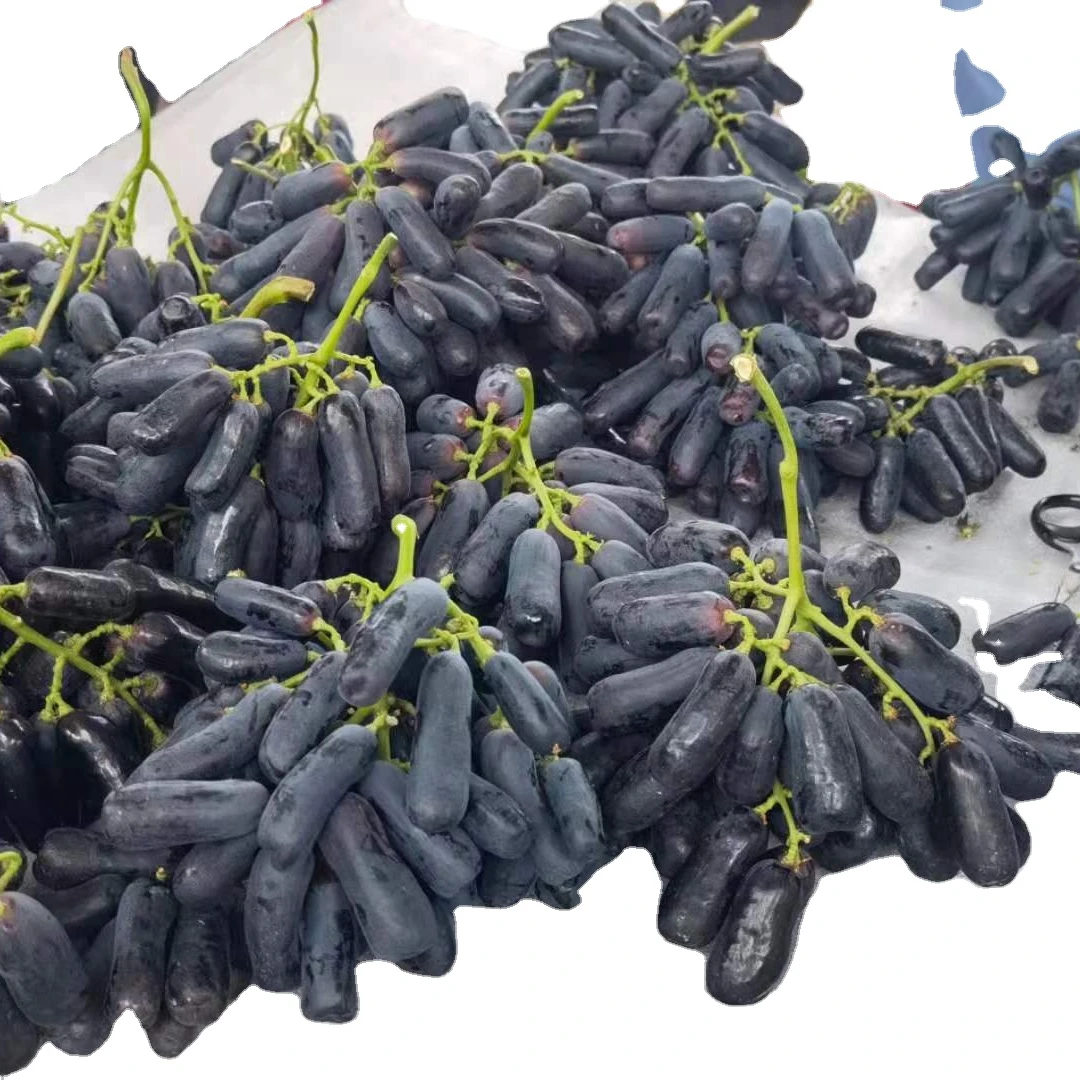 Chinese black grape fresh crop Moon drop grape