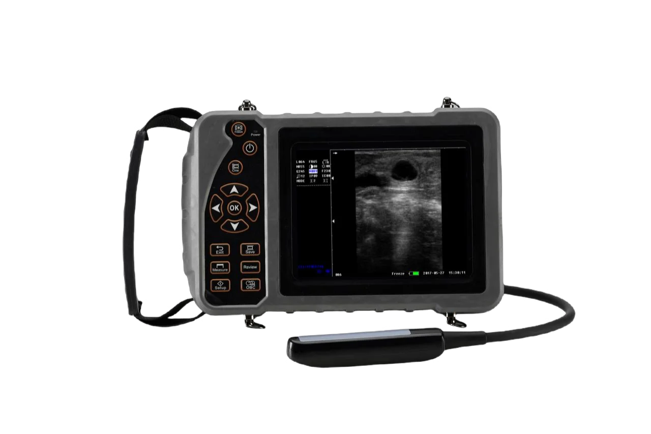THR-V51A Low Price Handheld Veterinary Ultrasound Machine Animal Ultrasonic Diagnosis System