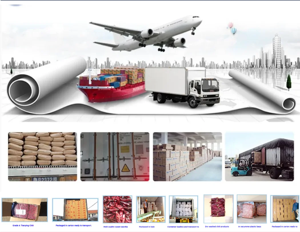 Sunflower Seeds Black With White Stripe 361 363 601