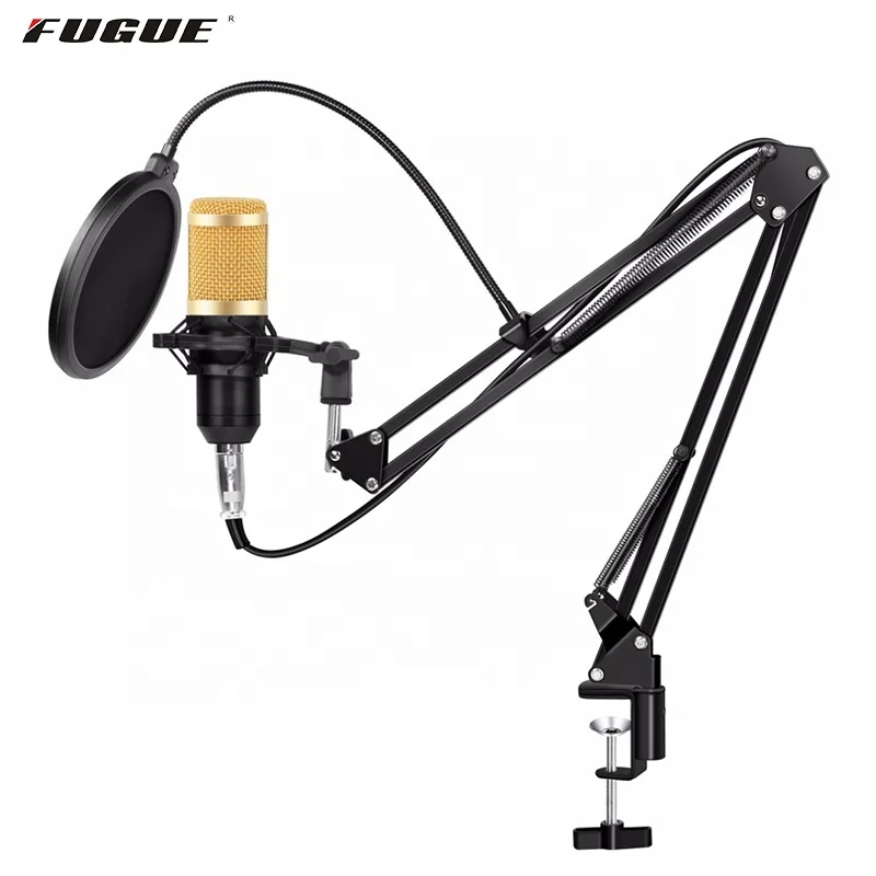 HOT SALE FC-800 condenser microphone computer recording mic singing