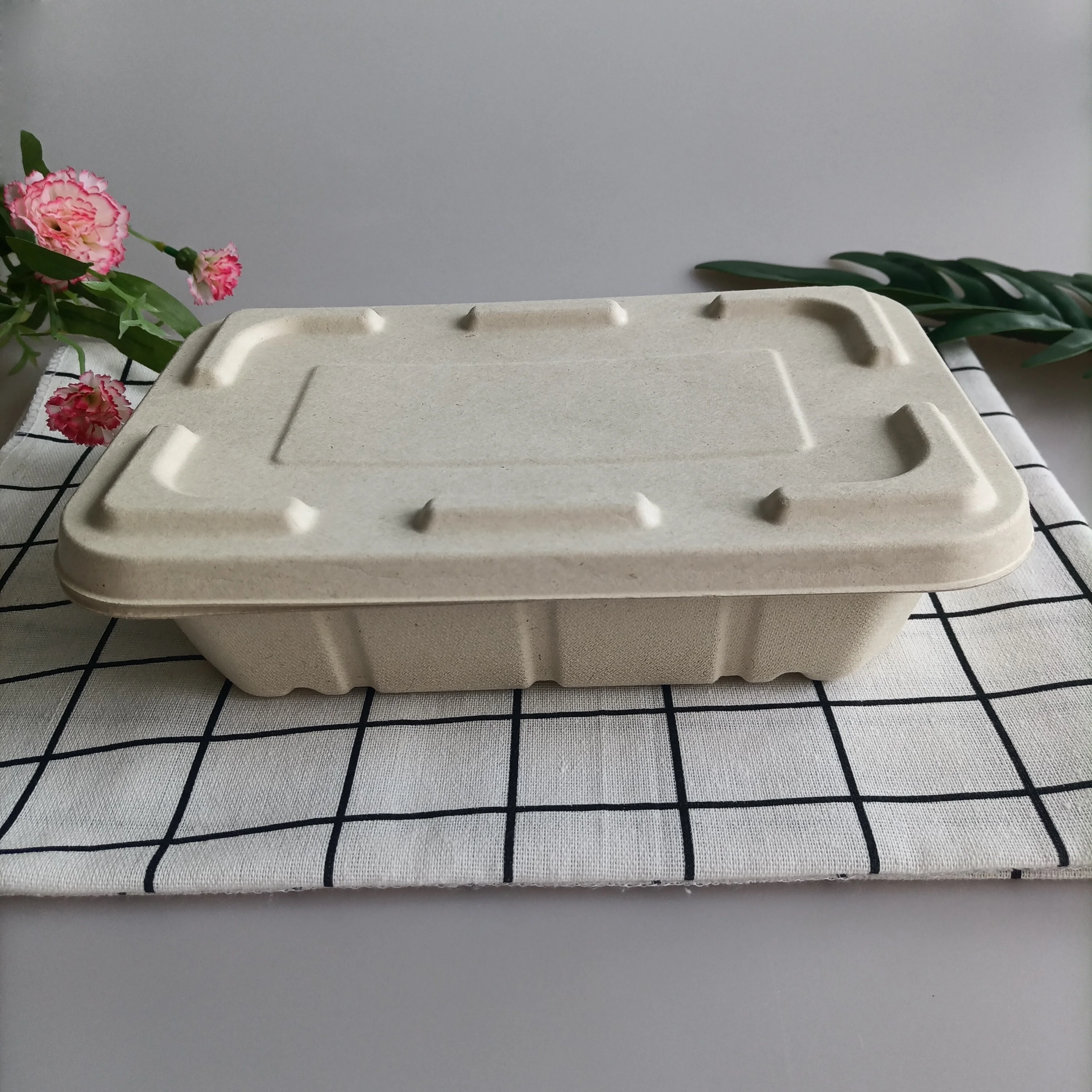 Biodegradable Sugar Cane Raw Materials Paper Package Boxes Microwavable One Time Use Shaped Crepes Picnic Box