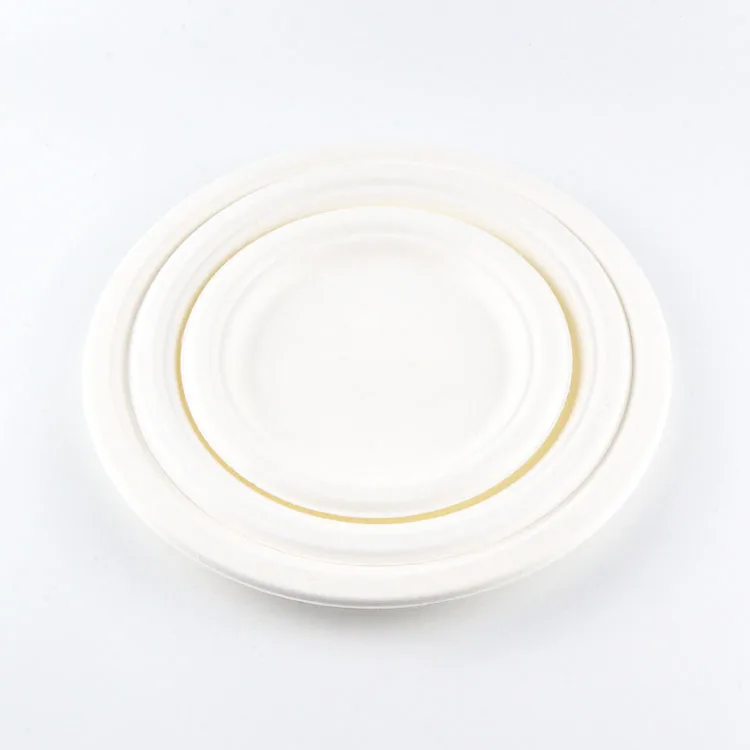 Food Grade Biodegradable Disposable Tableware Products Sugarcane Bagasse Plates