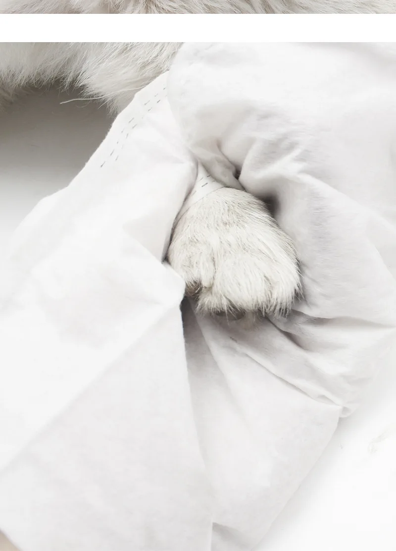 New Product Disposable Gloves Pet SPA Wipes Bathing Clean Gloves Cat and Dog Bathing no rinse free pet wipes glove