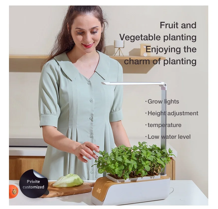 wholesale Hydroponic Desktop Flower Pots Ideal Hydro Planter Starter Kit