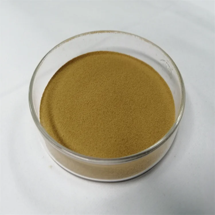 Saccharomyces Cerevisiae Yeast
