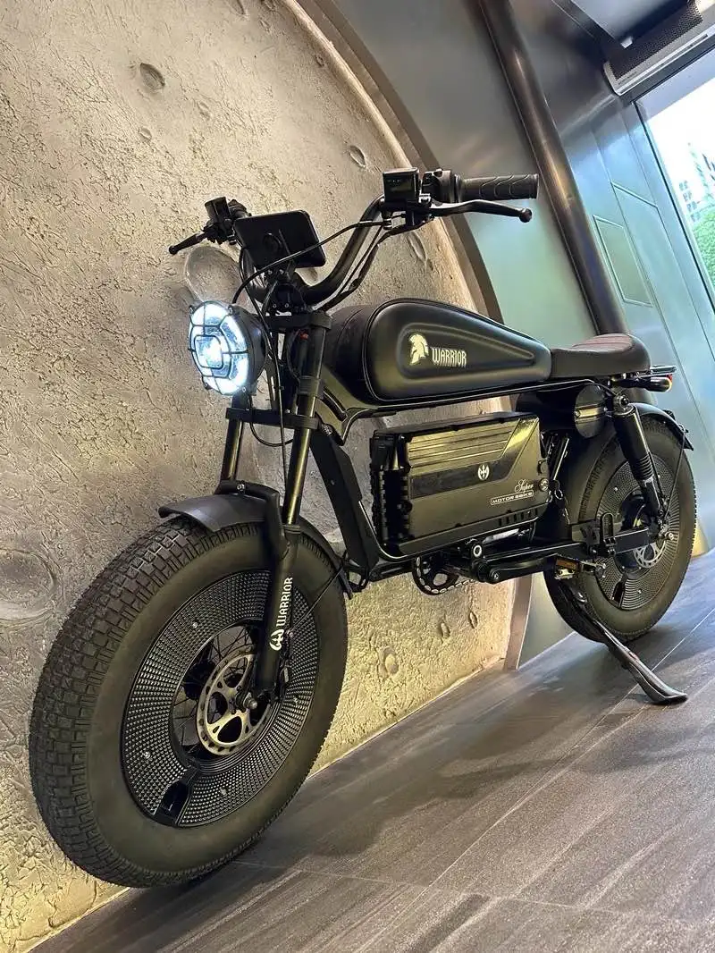 2024 Newest EcoRider HiMoto Fat Tire Electric Bike 20*5.0 Tire 48V 30Ah/60Ah All Terrain Electric Hybrid Bicycle