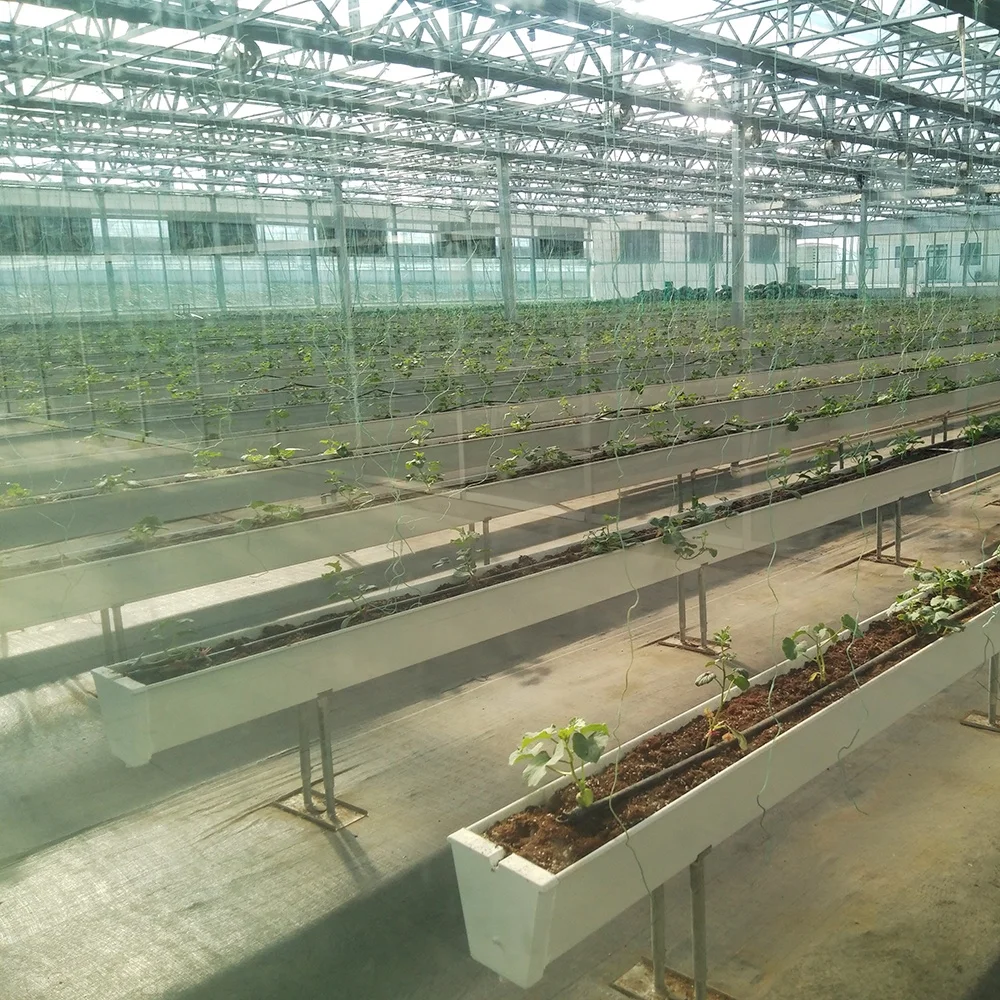 
China Supplier Plastic Polycarbonate Sheet Sunlight Greenhouse with Full Equipments 
