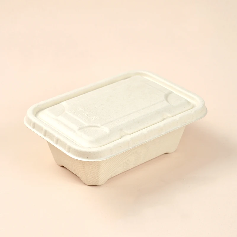 Free Samples Compostable Paper Pulp Lunch Box Disposable Bagasse Pulp Takeaway Food Container With Lid