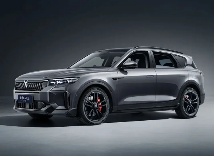 China 2025 New 4x2 4x4 5 Doors 5 Passenger Seats 255 45 R20 Tires Left Hand Drive Endurance Mileage 318km Suv
