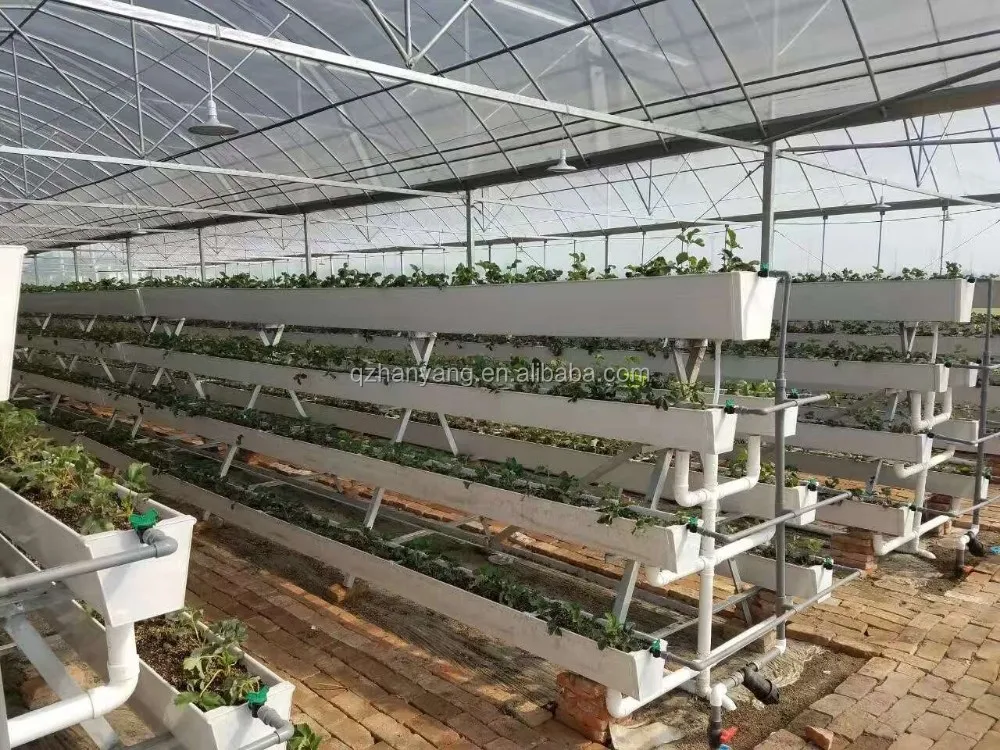 Commercial Greenhouse Venlo Glass Greenhouse Tomato Hydroponic Systems Greenhouse Turnkey Project