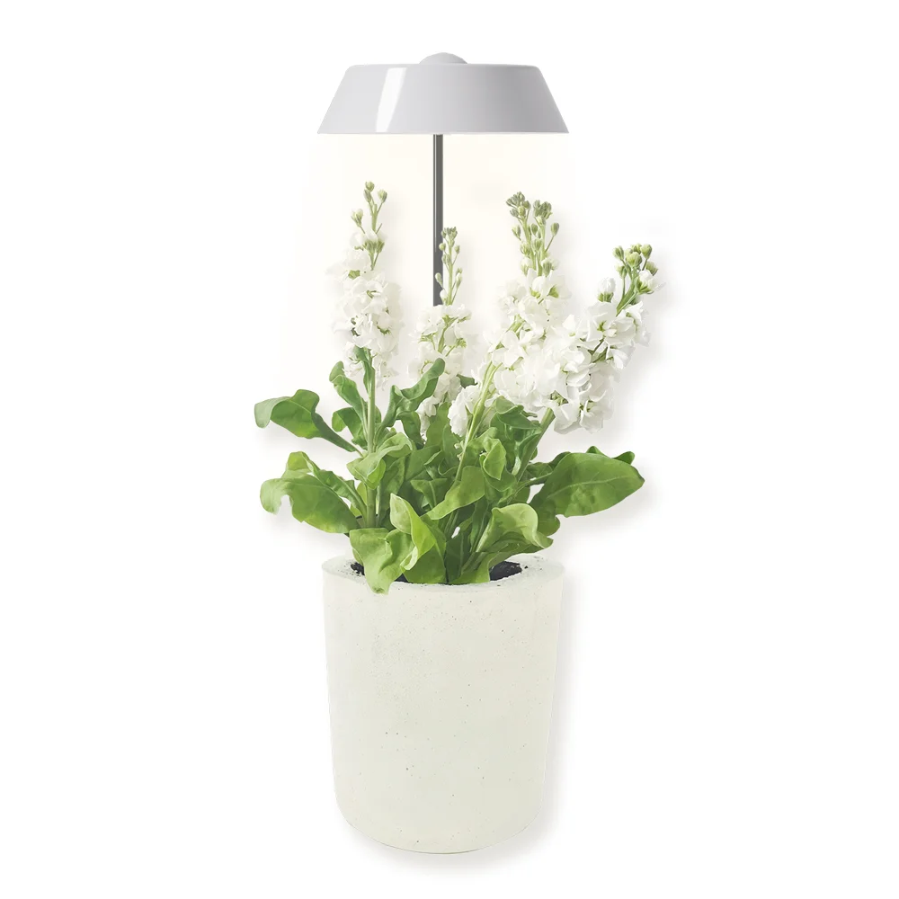 High quality Full Spectrum  DC 5V  6W Indoor Plant Design Indoor Plant Growth home LED Grow Light
