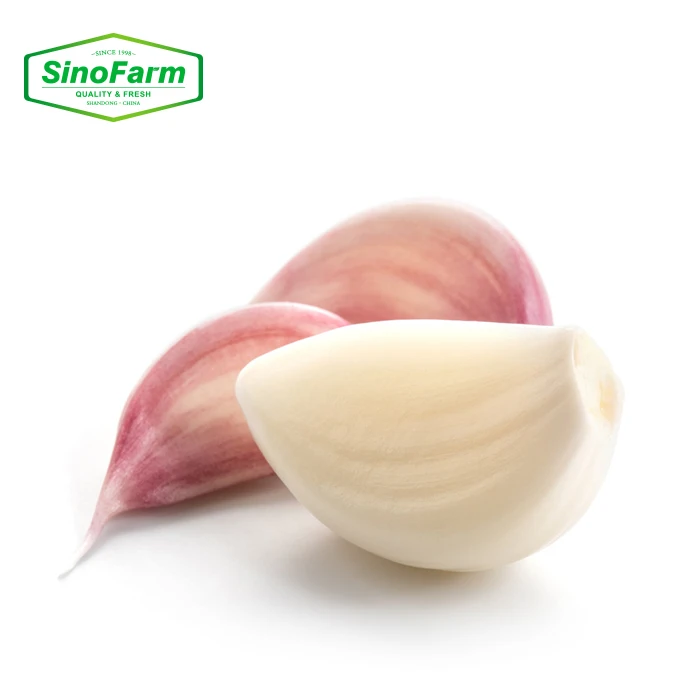China Fresh Peeled Garlic Cloves Manufacturer Supplier Chinese Peeled Garlic New Crop