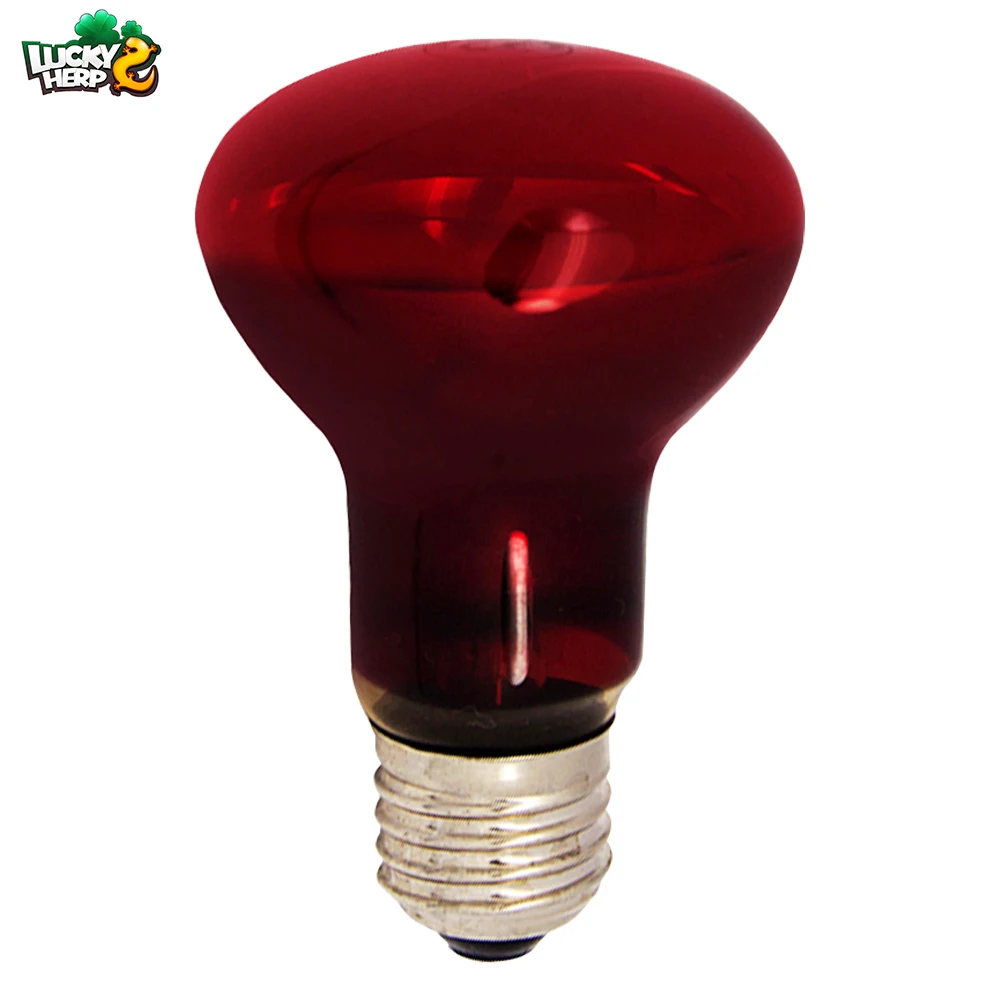 New Hot Selling Products infrared heating lamp manufacturers 40W 60W 100W 150W