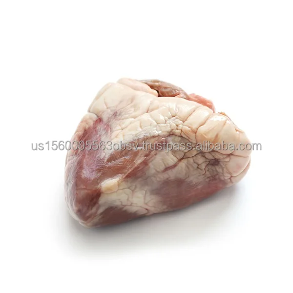 Frozen lamb heart for sale Quality lamb heart online