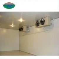 High Temperature walk in freezer cold room refrigeration In Zambia Walk In cooler for sale