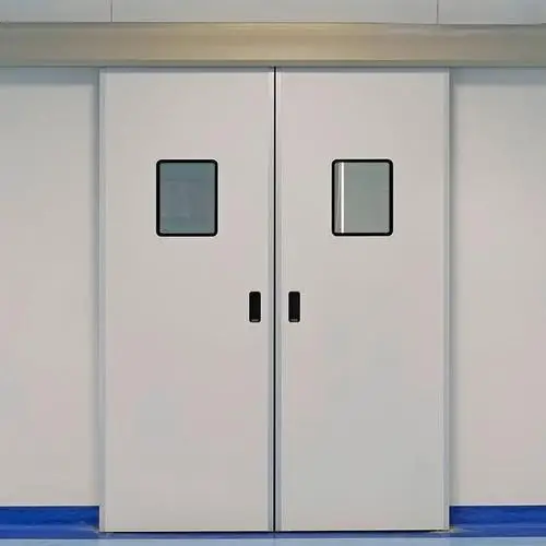Stainless Steel/Metal/Iron/Galvanized Steel Clean Room Automatic Fast Closing Automatic Cold Freezer Door