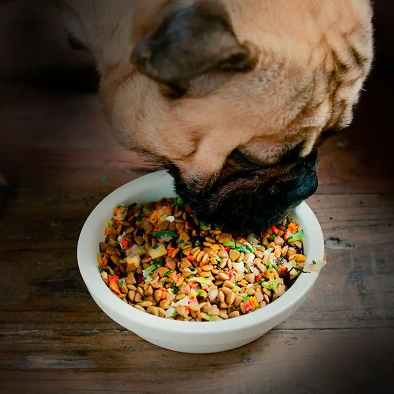 High quality dog food companion snack fruits and vegetables mixed dry dehydration freeze dried pet food