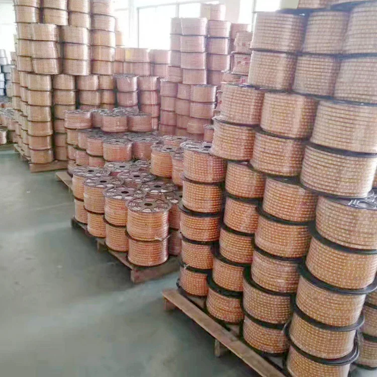 220V 5730 white warm white blue purple Flexible strip lighting led Double row 120chips/m LED strip lights/led light strip