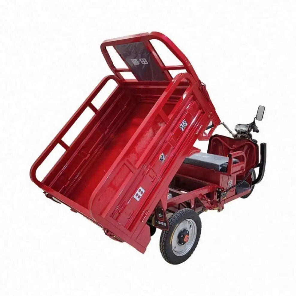 Large Supply SKD Trike Bic Gold Wing Tyep With Great Price