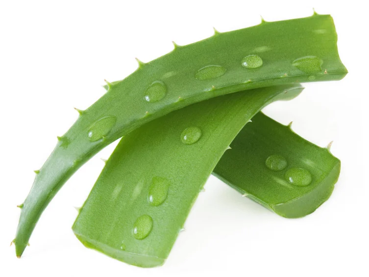
Wholesale Aloe Vera Plant Extract 10:1 Organic Aloe Vera Extract Powder 