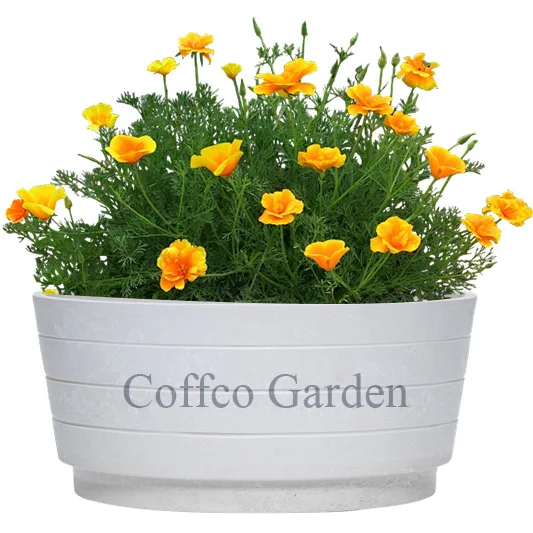 Flower Pot Bonsai Pot Hydroponic System Artificial Planter For Gardening
