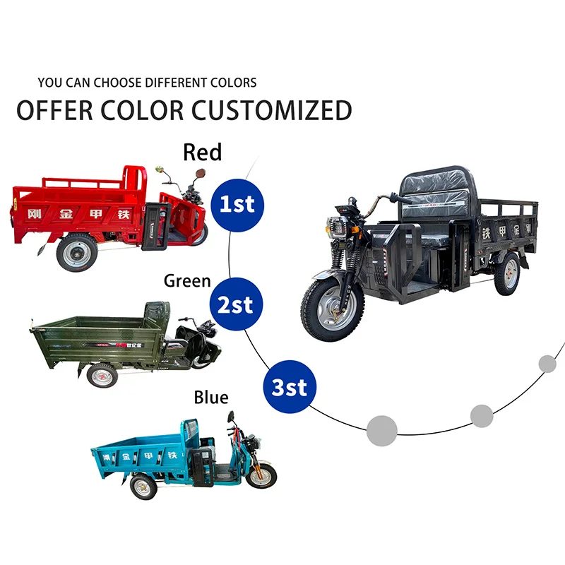 New Type Electric Cargo 3 Wheel Electric Motorcycle Tricycle Electric Bike With Rain Cover