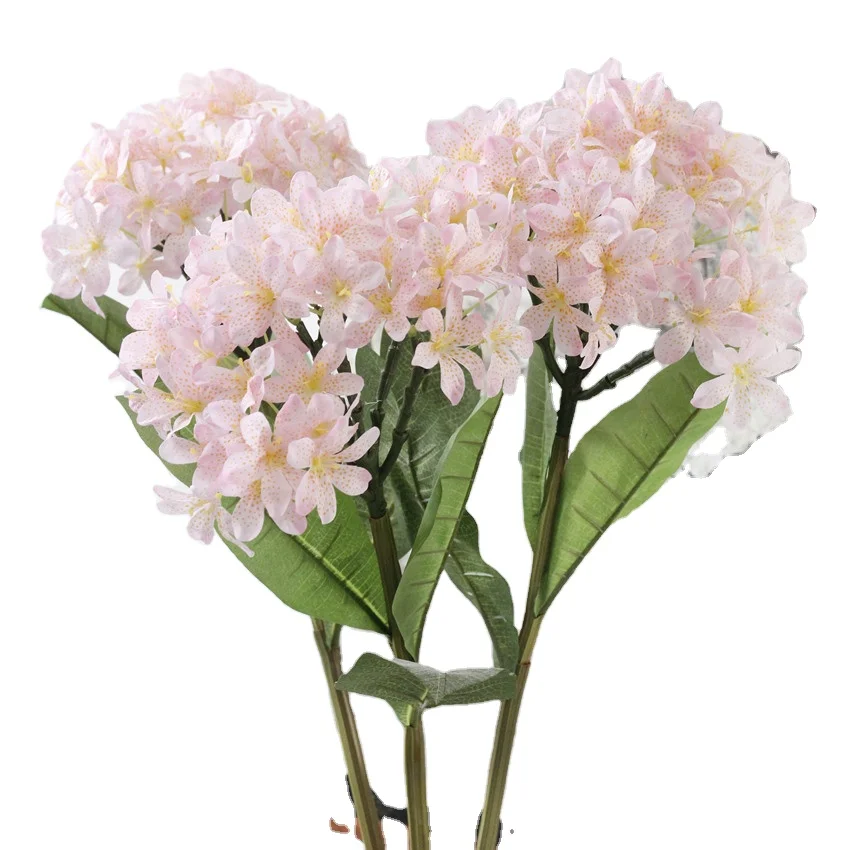 Shininglife Brand wholesale countertop home decoration flower orchid