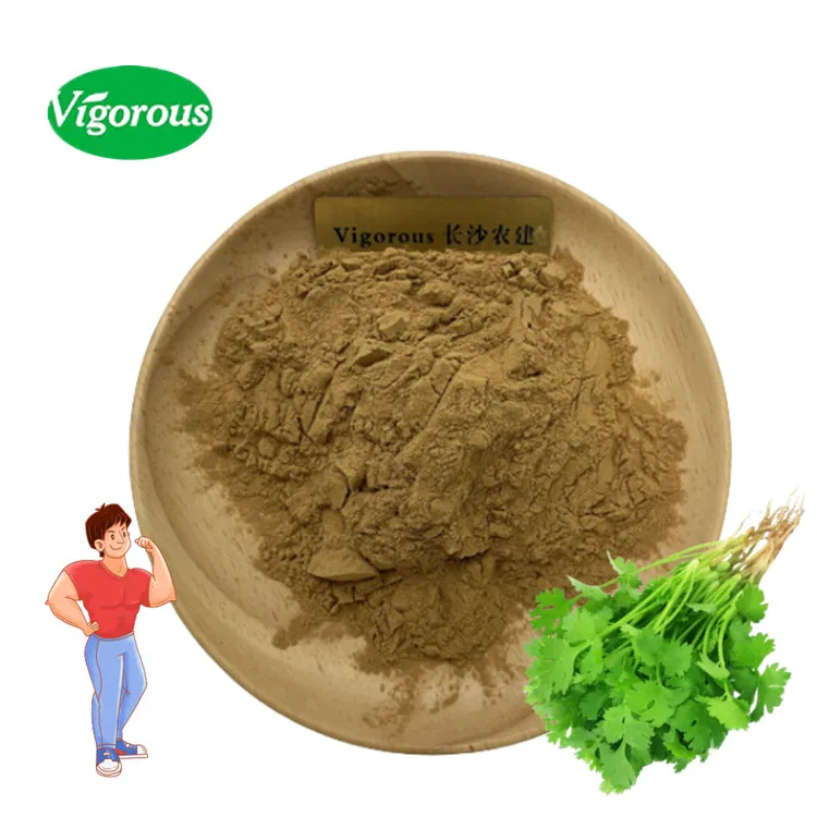 pure natural 12:1 Coriandrum sativum l Coriander seed Extract