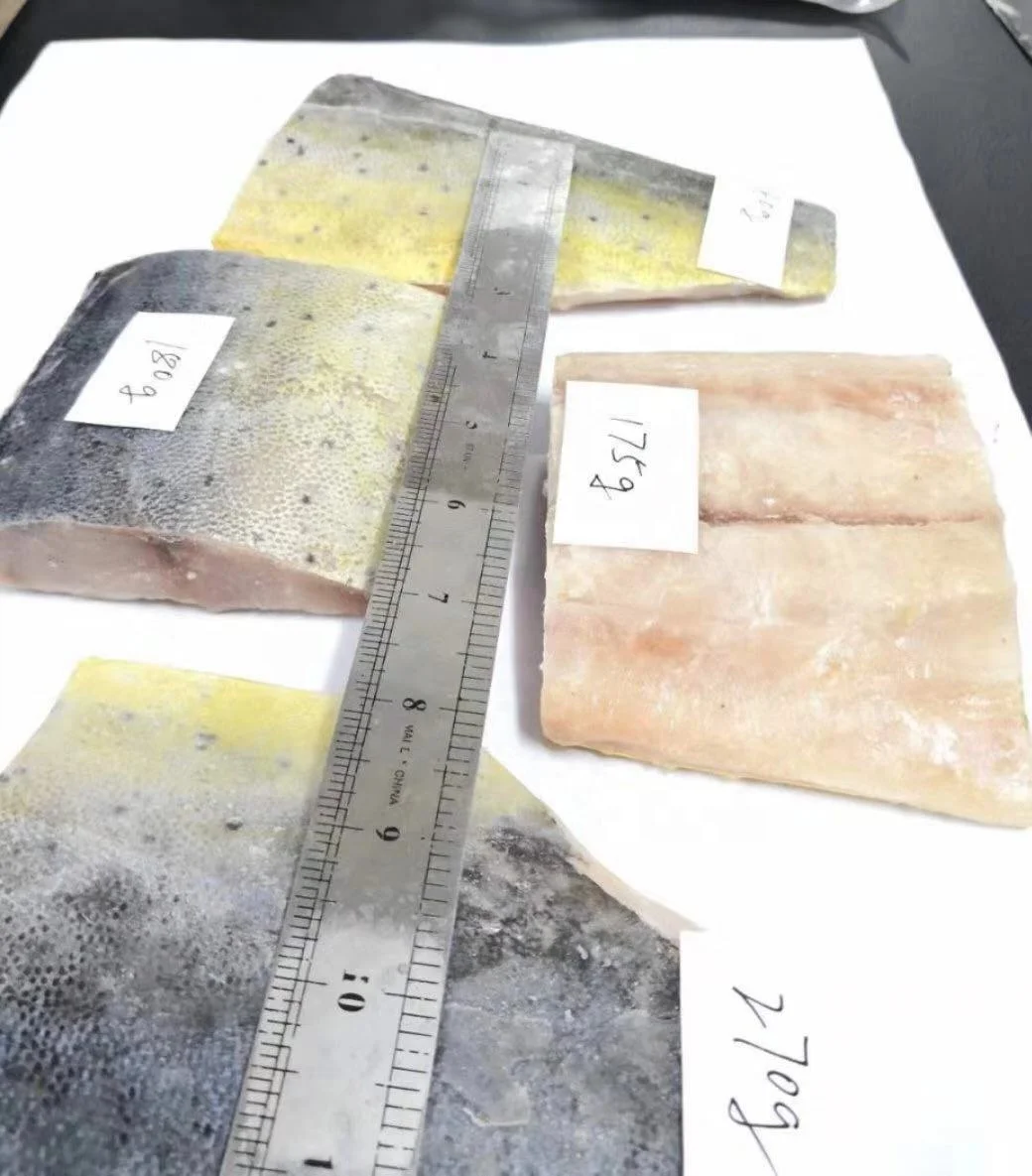 
Frozen Mahi Mahi Fillet Indonesia Origin 