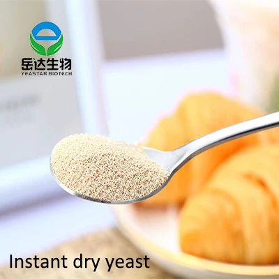China factory Focus high sugar Instant dry yeast manufacturer