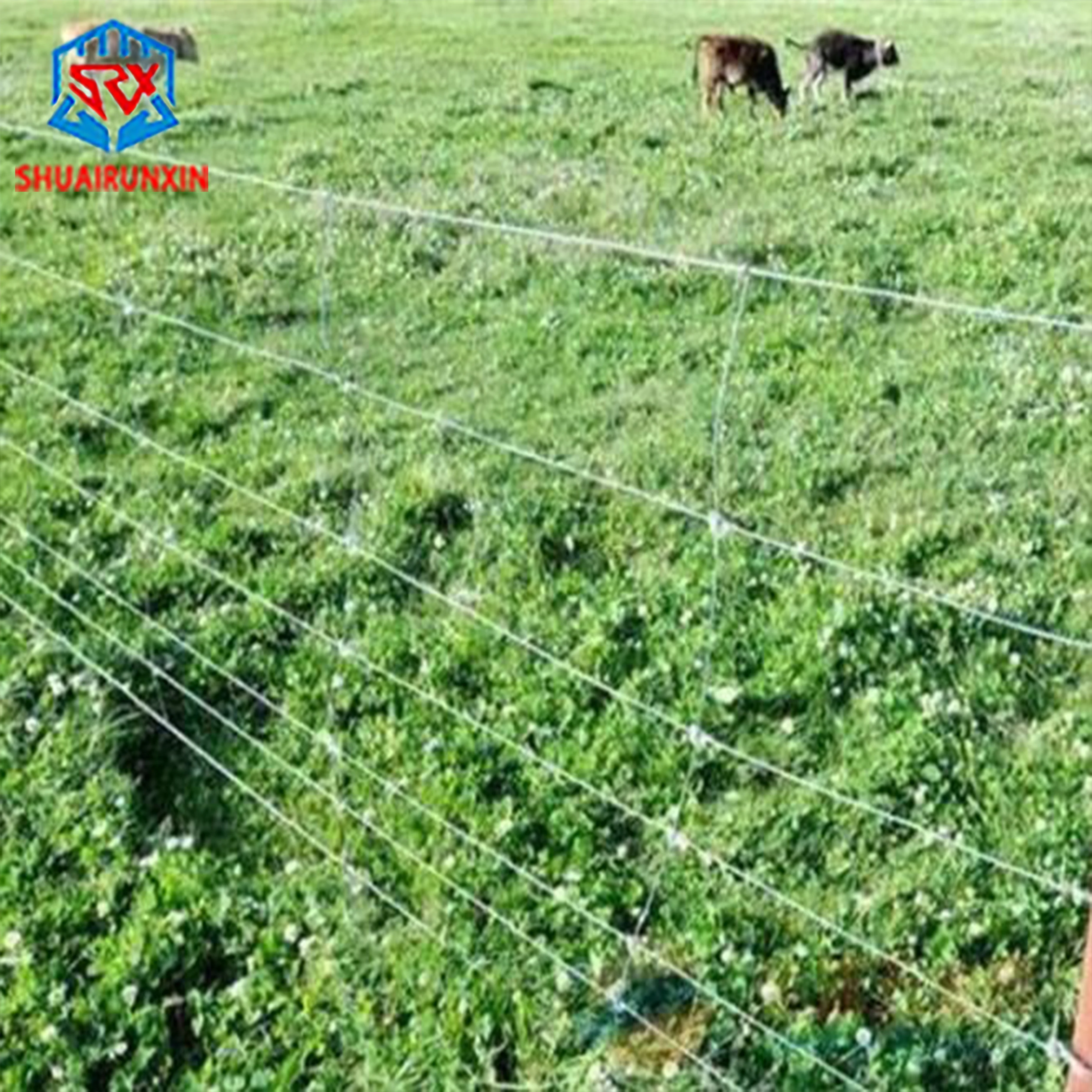 Farm Fence Cattle Feed Equipment Game Wire Mesh 1.2M High Sheep Cattle Fixed Knot Field-Fence 50M 100M Farm Guard Field Fence