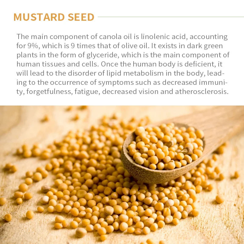 
100% Pure Vegan Cold Pressed Mustard Seed Essential Oil For Hair in Factory Price 