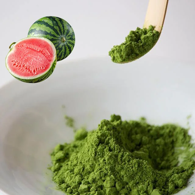 Premium Culinary Matcha Powder with Fresh Watermelon Flavor Bulk Orders