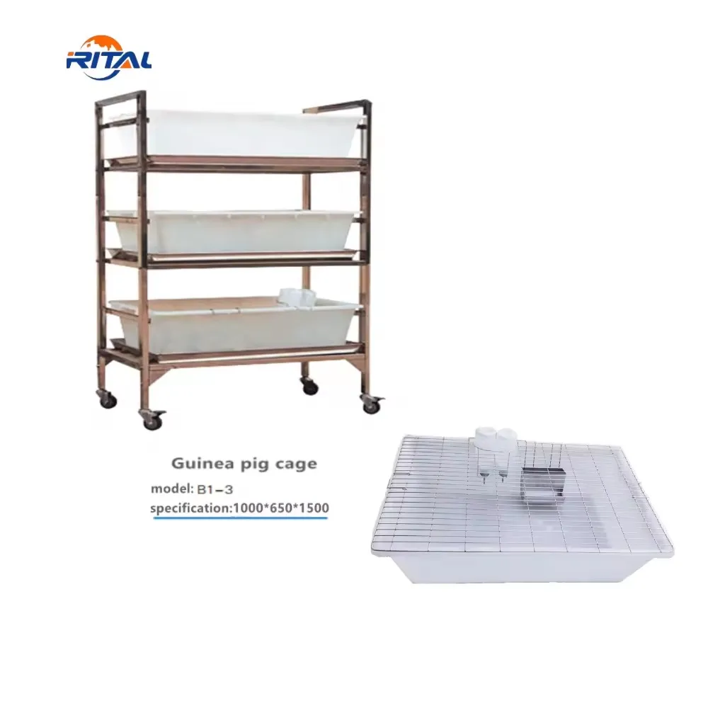 930*615*245mm PP Rodent cage Lab polypropylene guinea pig breeding cage with stainless steel rack