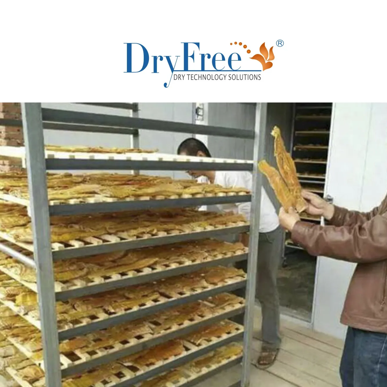 Hot-air Circulating Industrial fish drying equipment Electric oven for fish dryer and dried fish machine seafood dryer
