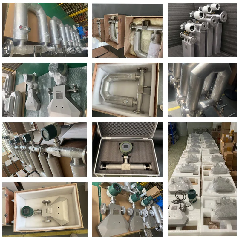 Sanitary dn3-dn150 lpg petroleum measurement of diesel coriolis mass flow meter manufacturer