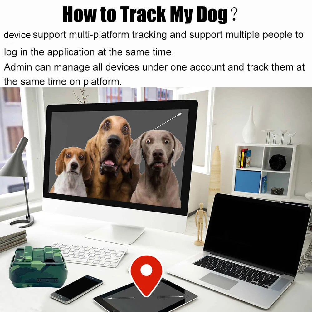 how to track my dog