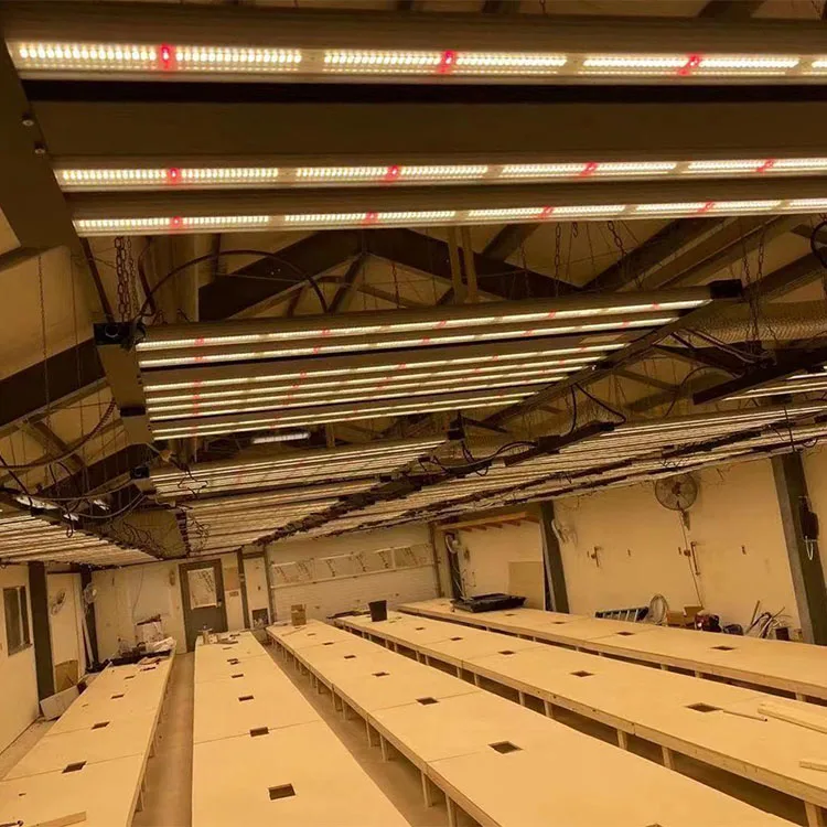 Growing 1000 Watt Led Grow Light 1000w Bar For Indoor Plants Full Spectrum