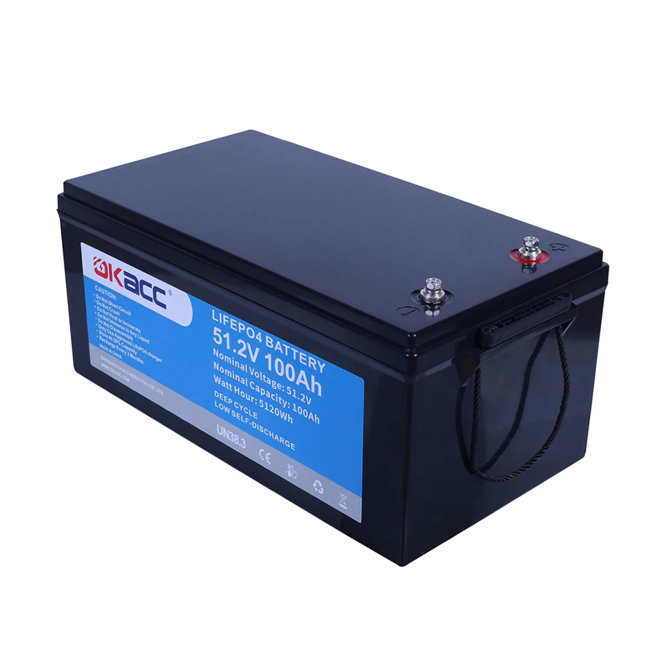 Smart Bms Deep Cycle Rechargeable Lithium Ion Battery 48 Volt 48V Lifepo4 100Ah