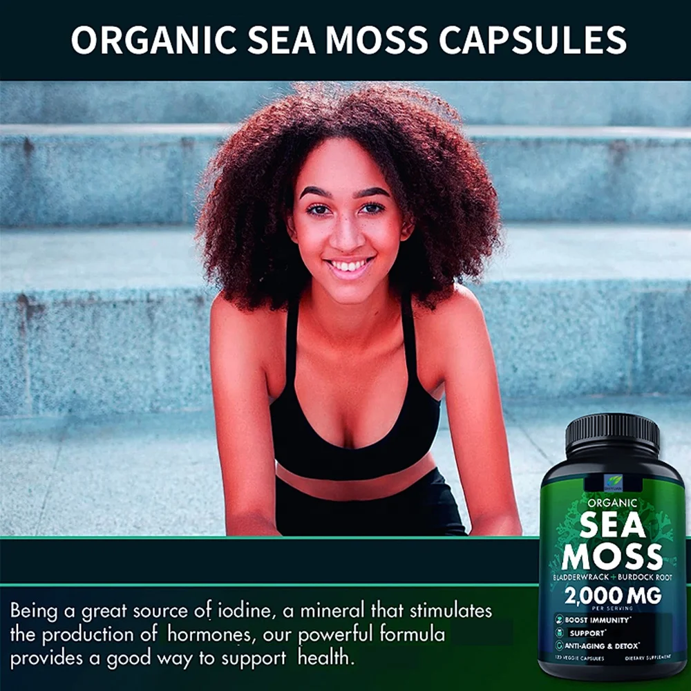 Organic Seaweed Capsule Burdock Root Irish Moss And Bladerwack Capsule Immune System Intestinal Cleaning Supplement 120 Capsules