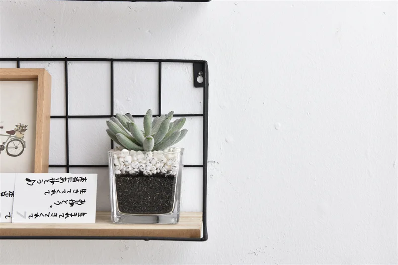 Wholesale Book Holder Wall Mounted Shelves For Potted Plants