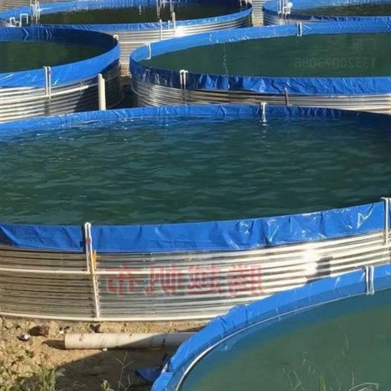 China plier Wholesale Customizable  High Quality  Aquaculture Tilapia & Shrimp Ras System  fish farming tank