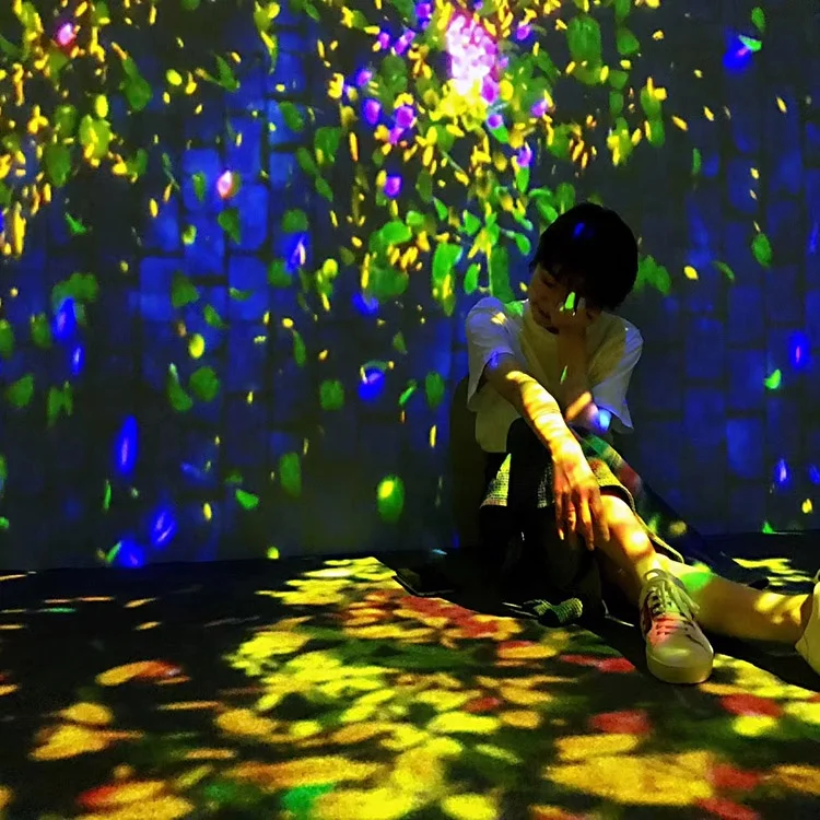 Digital Art Installation Projection Mapping Museum Exhibition immersive interactive projector Wall Projection Experience