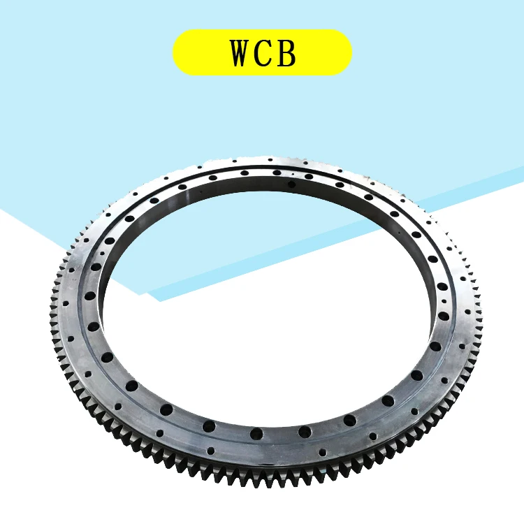 Aichi D501 crane swing circle slewing bearing